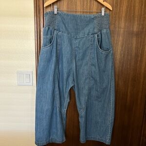 We The Free Lunan Crop Harem Jeans- XL